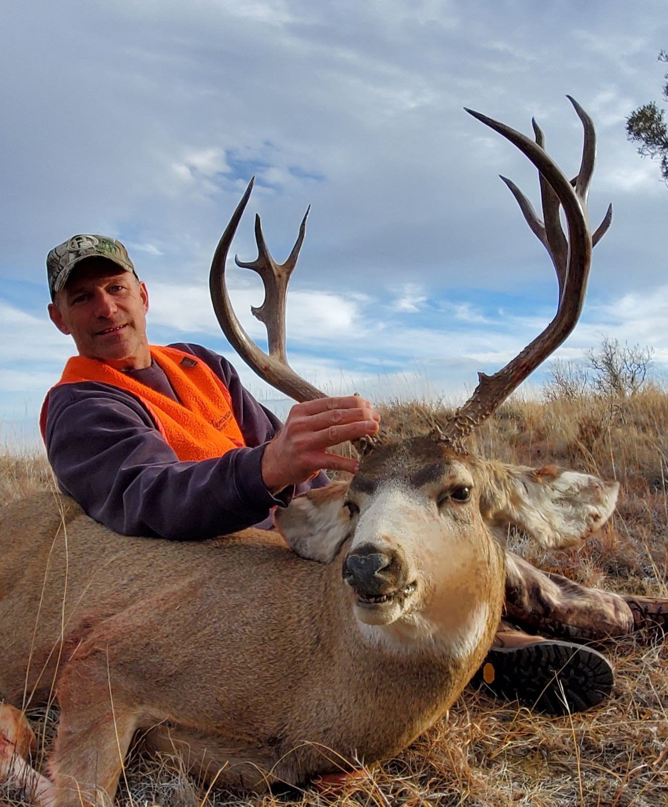 Mule Deer & Whitetail Gallery – Wild West Outfitters